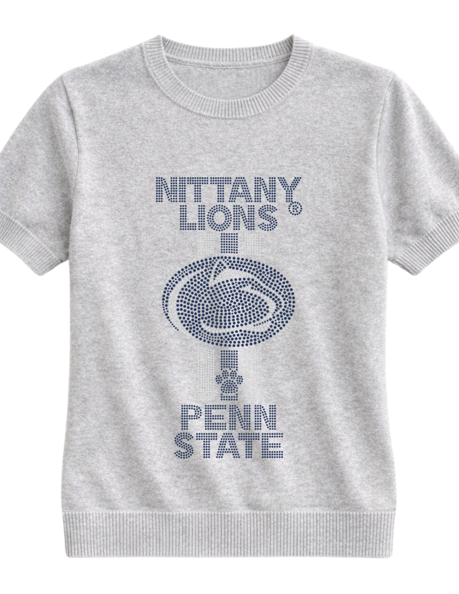 Penn State Nittany Lion Stripes Gray Short Sleeve Sweater