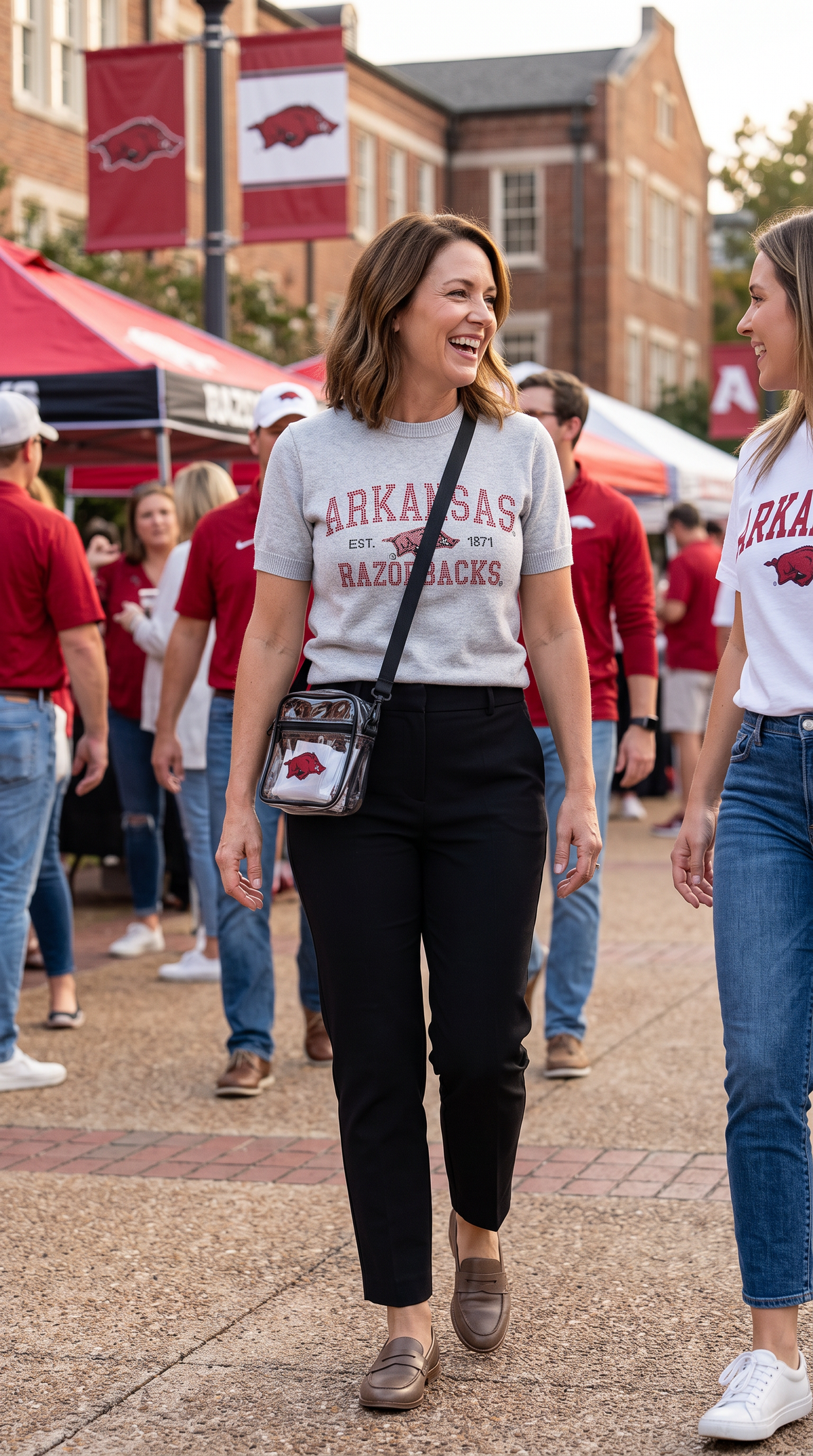 University of Arkansas Razorbacks Est. 1871 Gray Short Sleeve Sweater
