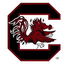 UNIVERSITY OF SOUTH CAROLINA - Moving Forward Designs