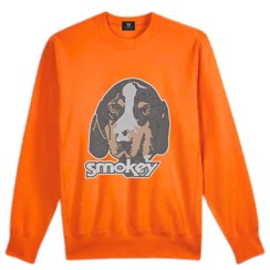 Licensed Game Day Sweatshirt, Crewneck Orange, Tennessee Vols Smokey