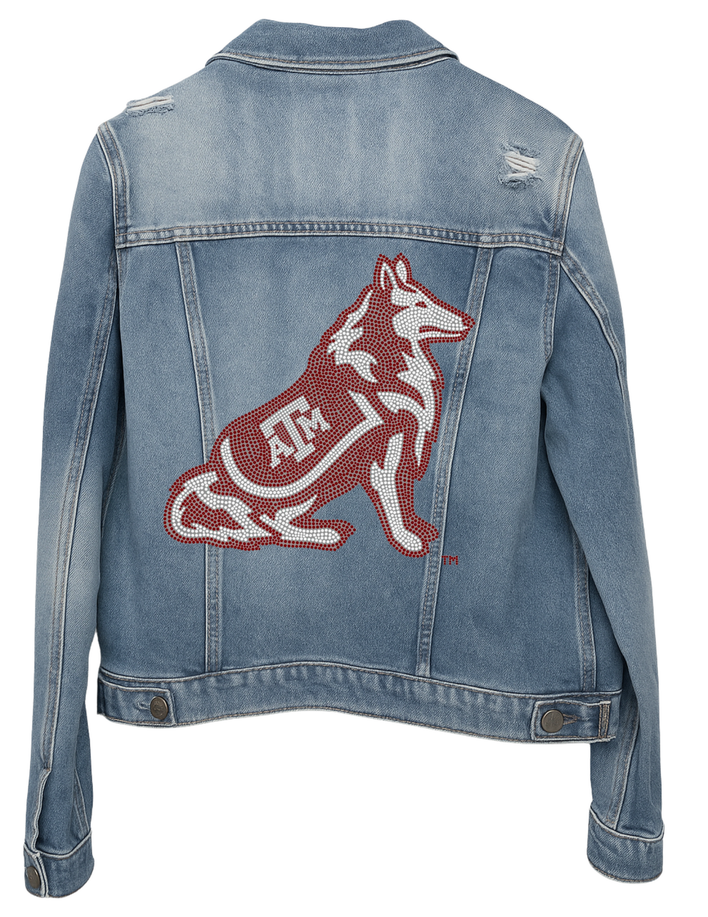 Texas A&M Reveille Blue Denim