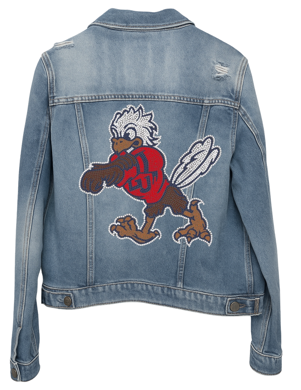 Liberty University Eagle Blue Denim Jacket