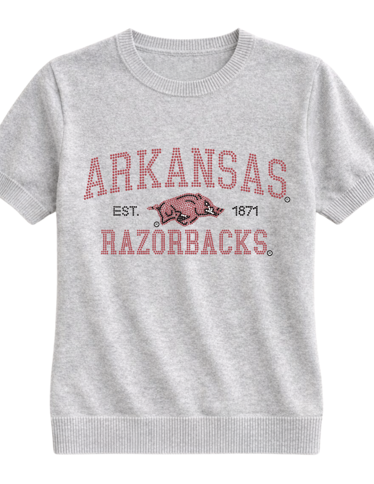 University of Arkansas Razorbacks Est. 1871 Gray Short Sleeve Sweater