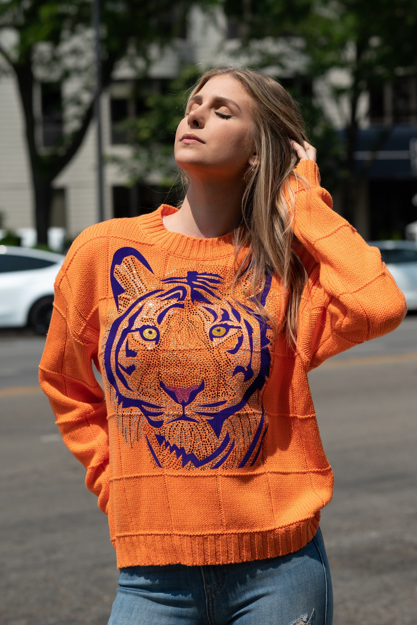 Sweater, Diamond Stitch Orange, Purple Tiger Face